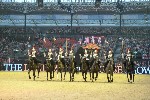 Cavalry - 00284
